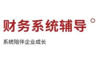 财务系统辅导