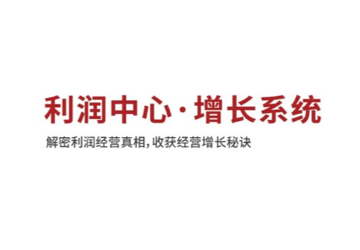 利润增长系统