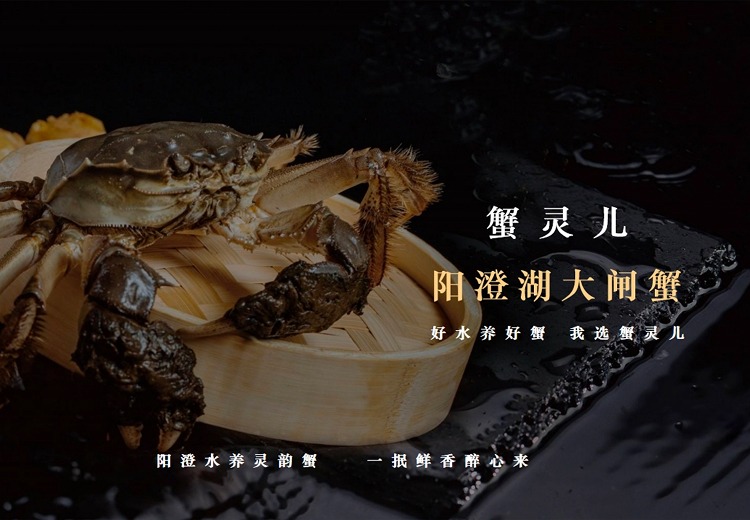 阳澄湖鲜活大闸蟹(经典礼盒系列)