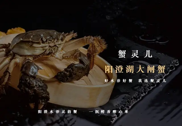 阳澄湖鲜活大闸蟹（经典礼盒系列）