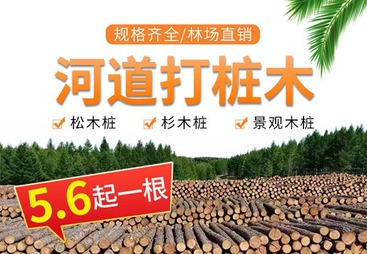 木桩行业信息流代运营