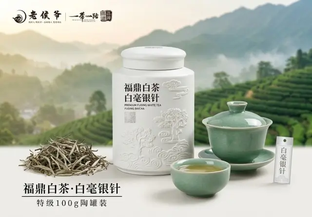 福鼎白茶·本源本味