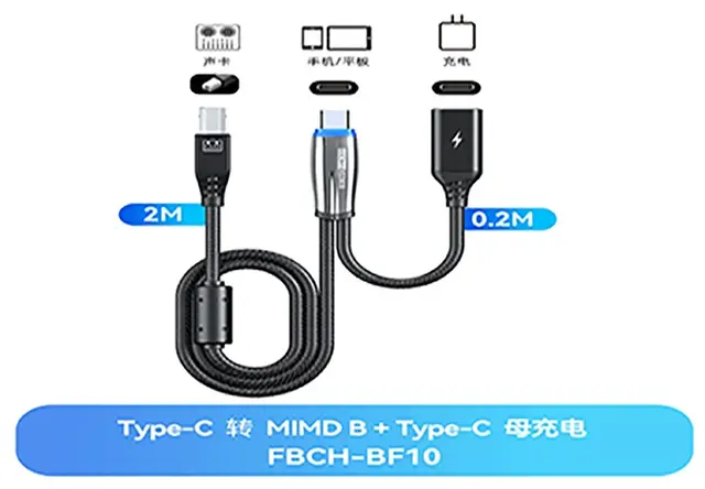FBCH-BF10