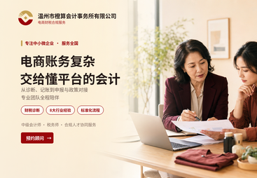 电商财务复杂-交给懂平台的设计