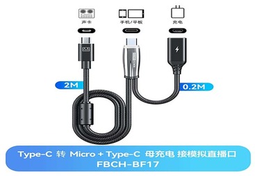 FBCH-BF17