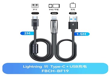 FBCH-BF19