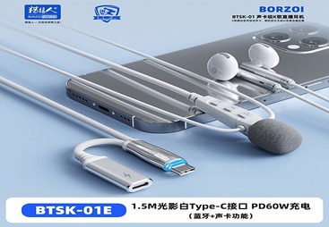 BTSK-01E