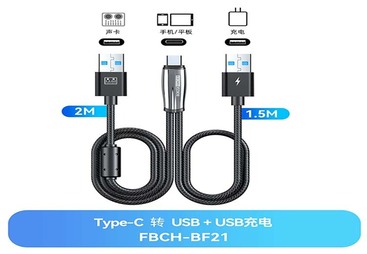 FBCH-BF21