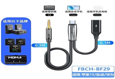 FBCH-BF29