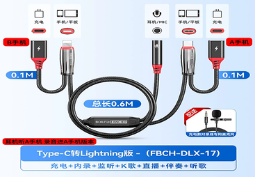 FBCH-DLX-17