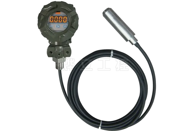 WMY-D缆式带显示液位变送器
