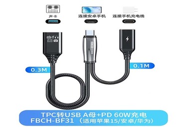 FBCH-BF31