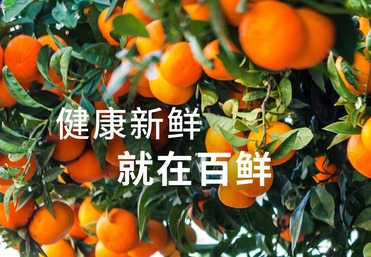 百鲜果园核心优势
