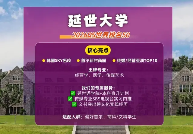 延世大学项目