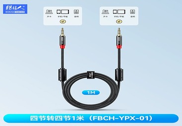 FBCH-YPX-01