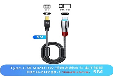 FBCH-ZHZ29-1