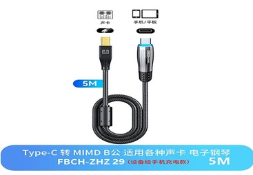 FBCH-ZHZ29