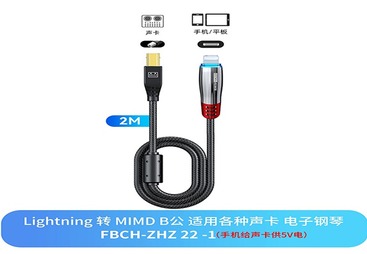 FBCH-ZHZ22-1