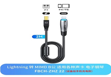 FBCH-ZHZ22