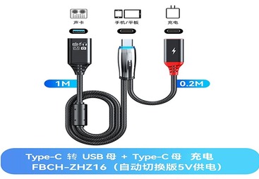 FBCH-ZHZ16