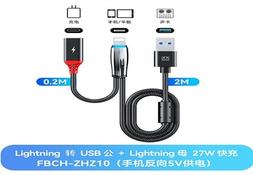 FBCH-ZHZ10