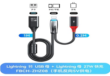 FBCH-ZHZ08