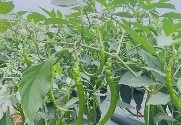 惠州某机关单位食堂（2023年1月合作至今）