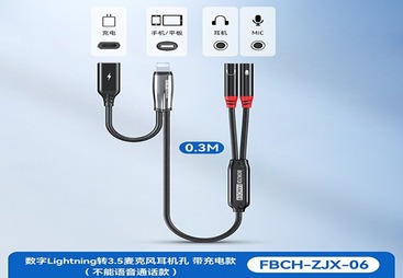 FBCH-ZJX-06