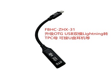 FBCH-ZHX-31