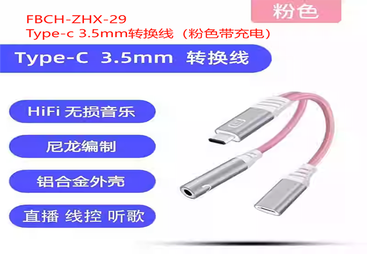 FBCH-ZHX-29