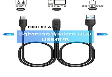 FBCH-09A
