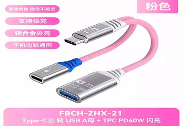 FBCH-ZHX-21