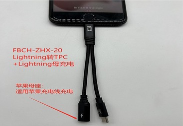 FBCH-ZHX-20
