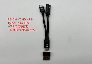 FBCH-ZHX-19