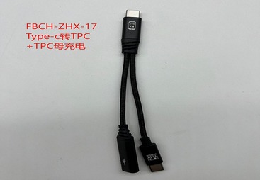 FBCH-ZHX-17