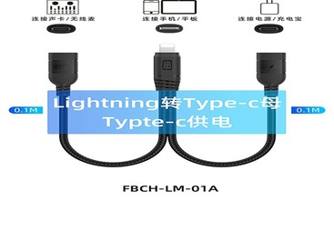 FBCH-LM-01A