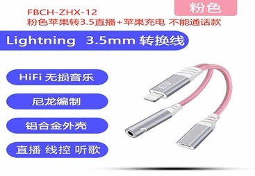 FBCH-ZHX-12