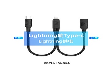 FBCH-LM-06A