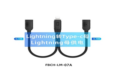 FBCH-LM-07A