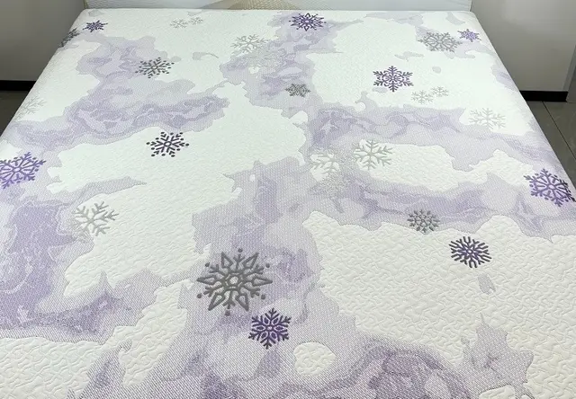 简约图案-瑞雪迎春