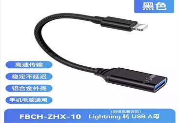 FBCH-ZHX-10