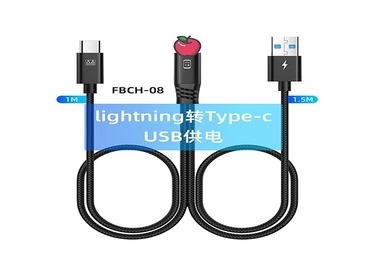 FBCH-08