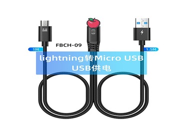 FBCH-09