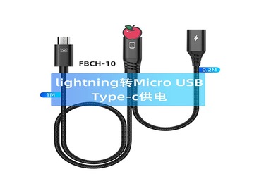 FBCH-10
