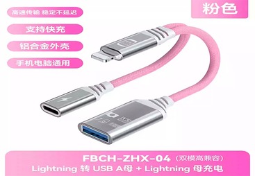 FBCH-ZHX-04