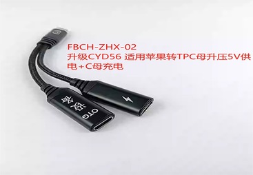 FBCH-ZHX-02