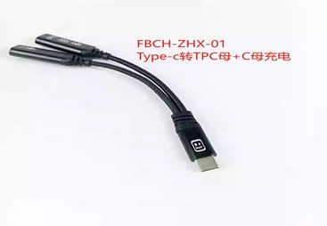FBCH-ZHX-01