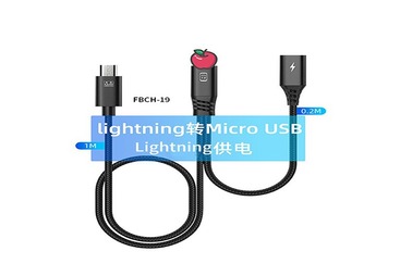 FBCH-19
