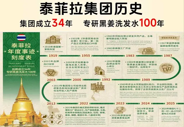 泰菲拉集团历史
