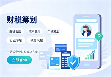 财税筹划